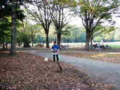 神代植物公園自由広場