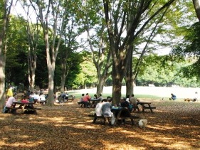 神代植物公園自由広場