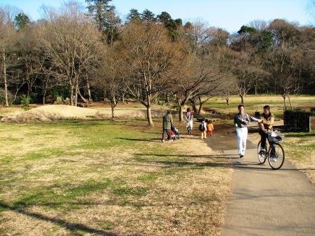 野川に沿っての散歩