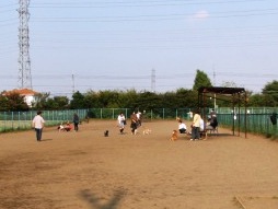 神代植物公園ドッグラン（調布市）